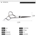 Hair Scissors for Professional Hair Cutting